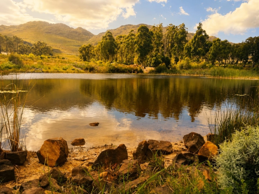To Let  Bedroom Property for Rent in Sir Lowrys Pass Village Western Cape